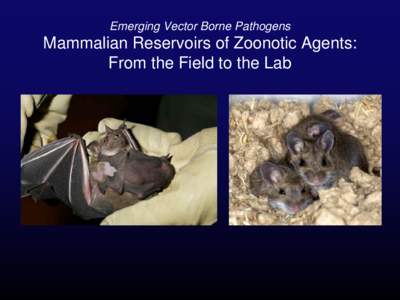 Emerging Vector Borne Pathogens  Mammalian Reservoirs of Zoonotic Agents: From the Field to the Lab  There are more than 4,600 species of