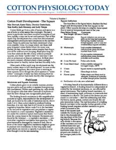 COTTON PHYSIOLOGY TODAY Newsletter of the Cotton Physiology Education Program -- NATIONAL COTTON COUNCIL Volume 4, Number 1  Cotton Fruit Development - The Square