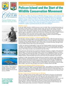 U.S. Fish & Wildlife Service  Pelican Island and the Start of the Wildlife Conservation Movement National Wildlife Refuges: America’s best-kept secret