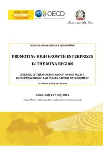 MENA-OECD INVESTMENT PROGRAMME  PROMOTING HIGH GROWTH ENTERPRISES IN THE MENA REGION MEETING OF THE WORKING GROUP ON SME POLICY, ENTREPRENEURSHIP AND HUMAN CAPITAL DEVELOPMENT