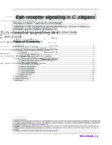 Eph receptor signaling in C. elegans* Michael A. Miller1§ and Ian D. Chin-Sang2 1 Department of Cell, Developmental, and Integrative Biology, University of Alabama at Birmingham School of Medicine, Birmingham, AL