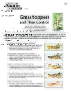 EGrasshoppers and Their Control