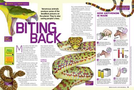 Chemistry: Toxins // Biology: Adaptations  Biting WHITELIPPED TREE VIPER: Southeast Asia
