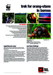trek for orang‑utans in borneo trip highligh­­­ts Visit Tanjung Puting National Park and the famous Camp Leakey Visit and learn about how researchers work in the jungle