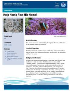 Lesson Plan  Help Nemo Find His Home! Photo: Claire Fackler, NOAA