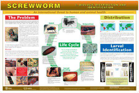 1 Screw Worm Posters FOR PRINT
