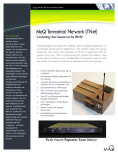 Information Technology Solutions  McQ Terrestrial Network (TNet) TNet DESIGN McQ designed TNet to