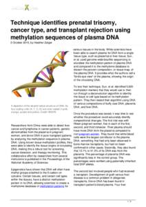 Technique identifies prenatal trisomy, cancer type, and transplant rejection using methylation sequences of plasma DNA