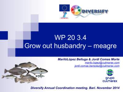 WP[removed]Grow out husbandry – meagre MarilóLópez Belluga & Jordi Comas Morte [removed] [removed]