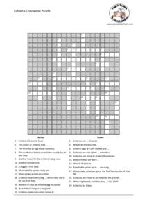 Echidna Crossword Puzzle  www.aleesahdarlison.com 1 2