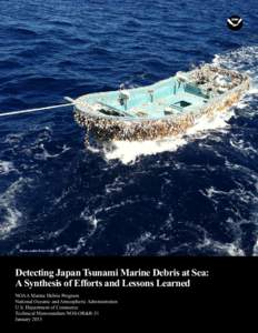 Photo credit: Peter Grillo  Detecting Japan Tsunami Marine Debris at Sea: A Synthesis of Efforts and Lessons Learned NOAA Marine Debris Program National Oceanic and Atmospheric Administration