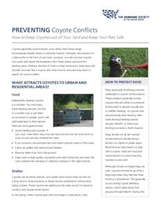 PREVENTING Coyote Conflicts How to Keep Coyotes out of Your Yard and Keep Your Pets Safe ISTOCK PHOTOGRAPHY Coyotes generally avoid humans, even when their home range encompasses largely urban or suburban habitat. Howeve