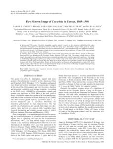 Annals of Botany 98: 41–47, 2006 doi:aob/mcl082, available online at www.aob.oxfordjournals.org First Known Image of Cucurbita in Europe, 1503–1508 H A R R Y S . P A R I S 1,*, M A R I E - C H R I S T I N E D