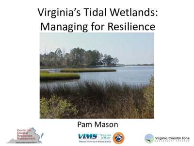 Virginia’s Tidal Wetlands: Managing for Resilience Pam Mason  PAST: City of Norfolk shallow water and wetlands Fill.