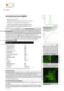 - Bright green fluorescence  Fluorescence, % Green fluorescent protein TagGFP2
