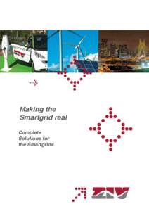 Complete Solutions for the Smartgrids · FNSG1103A