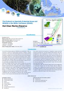 e et Factsh The Protocol on Specially Protected Areas and Wildlife in the Wider Caribbean (SPAW):  Hol Chan Marine Reserve