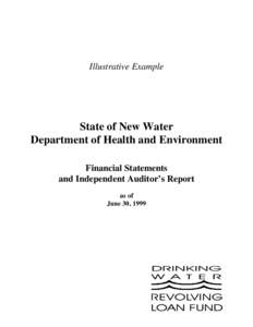 Illustrative Example  State of New Water Department of Health and Environment Financial Statements and Independent Auditor’s Report