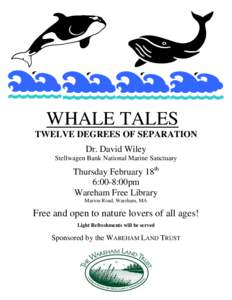 WHALE TALES TWELVE DEGREES OF SEPARATION Dr. David Wiley Stellwagen Bank National Marine Sanctuary  Thursday February 18th
