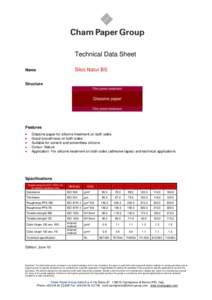 Technical Data Sheet Silco Natur BS Name  Structure