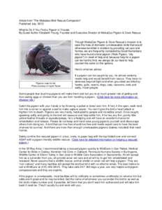 Article from “The Mickaboo Bird Rescue Companion” Published July, 2013 What to Do if You Find a Pigeon in Trouble By Guest Author Elizabeth Young, Founder and Executive Director of MickaCoo Pigeon & Dove Rescue  Thou