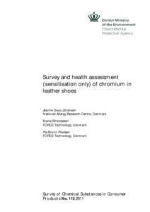 Survey and health assessment (sensitiation only) of chromium in leather shoes