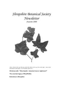 Shropshire Botanical Society Newsletter Autumn 2000 Above: Hedera helix ssp. hibernica on the left, Hedera helix ssp. helix on the right – what is their distribution in Shropshire? See The Holly and the Ivy…