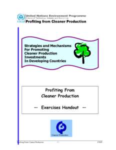 Strategies and Mechanisms For Promoting Cleaner Production Investments In Developing Countries