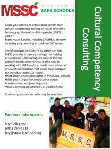Could your agency or organization benefit from cultural competency training on issues related to lesbian, gay, bisexual, and transgender (LGBT) youth? Many major funders, including SAMHSA, are now including programming f