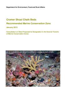 Department for Environment, Food and Rural Affairs  Cromer Shoal Chalk Beds Recommended Marine Conservation Zone January 2015 Consultation on Sites Proposed for Designation in the Second Tranche