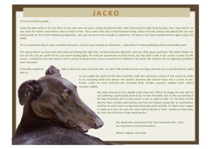 J A C K O 	
   Hi	
  Raw	
  Essen+als	
  people,	
   Jacko	
  has	
  been	
  with	
  us	
  for	
  just	
  short	
  of	
  one	
  year	
  now.	
  He	
  was	
  a	
  racing	
  Greyhound	
  who,	
  a?er