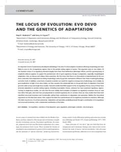COMMENTARY doi:j00105.x THE LOCUS OF EVOLUTION: EVO DEVO AND THE GENETICS OF ADAPTATION Hopi E. Hoekstra1,2 and Jerry A. Coyne3,4