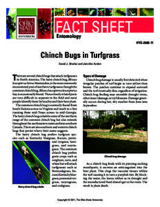 FACT SHEET Entomology HYG[removed]Chinch Bugs in Turfgrass