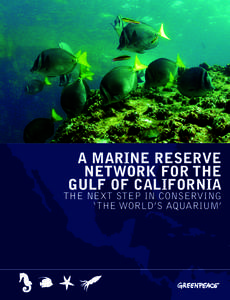 A MARINE RESERVE NETWORK FOR THE GULF OF CALIFORNIA THE NEXT STEP IN CONSERVING ‘THE WORLD’S AQUARIUM’