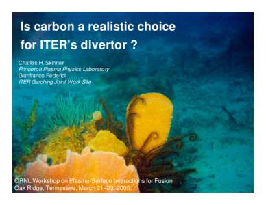 Is carbon a realistic choice for ITER’s divertor ? Charles H. Skinner Princeton Plasma Physics Laboratory Gianfranco Federici ITER Garching Joint Work Site