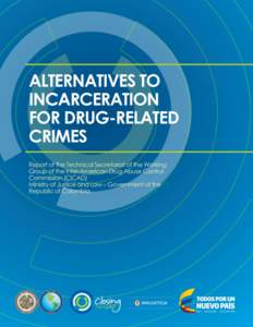 2  ALTERNATIVES TO INCARCERATION FOR DRUG-RELATED CRIMES First Report of the Technical Secretariat of the Working Group of the Inter-American Drug Abuse Control Commission (CICAD) Ministry of Justice and Law – Govern