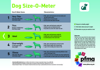 Dog Size-O-Meter Size-O-Meter Score: 1  Very Thin