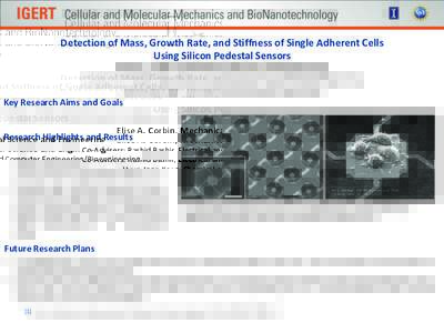 Detection of Mass, Growth Rate, and Stiffness of Single Adherent Cells Using Silicon Pedestal Sensors Elise A. Corbin, Mechanical Science and Engineering Co-Advisers: Rashid Bashir, Electrical and Computer Engineering/Bi