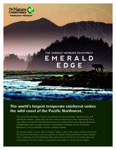 The world’s largest temperate rainforest unites the wild coast of the Pacific Northwest. This is the Emerald Edge: a stretch of pounding surf and quiet bays, towering trees, and wild Pacific salmon—a place that has b